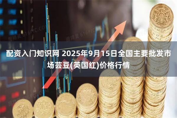 配资入门知识网 2025年9月15日全国主要批发市场芸豆(英国红)价格行情